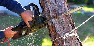 Mulching Services in Knightdale, NC